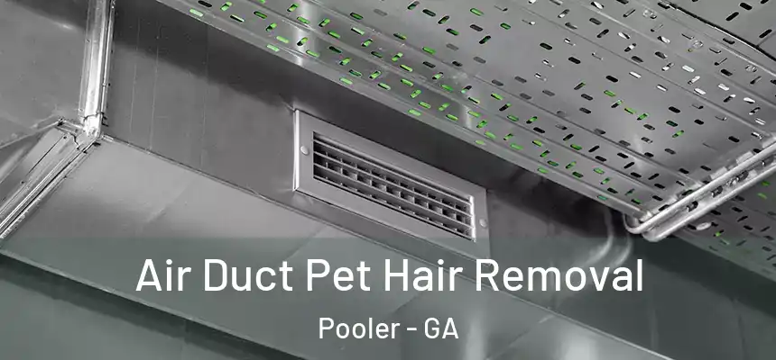Air Duct Pet Hair Removal Pooler - GA