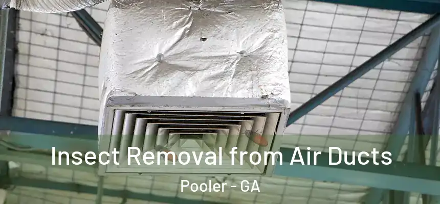 Insect Removal from Air Ducts Pooler - GA