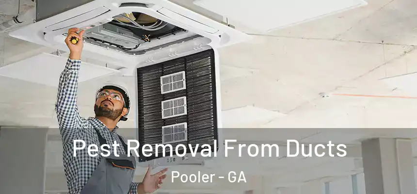 Pest Removal From Ducts Pooler - GA