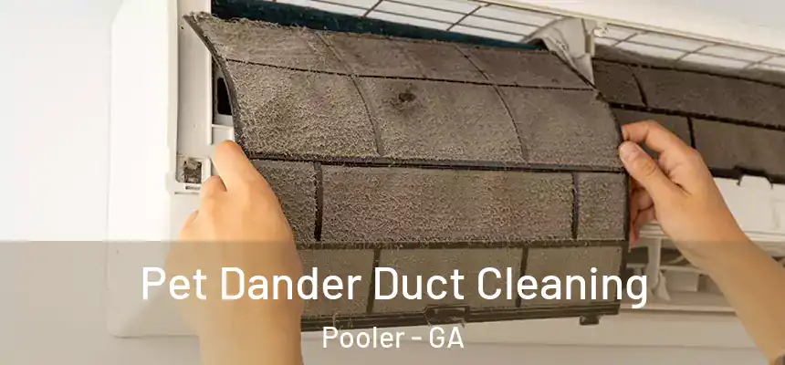  Pet Dander Duct Cleaning Pooler - GA