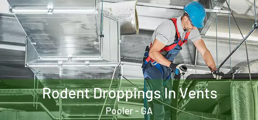  Rodent Droppings In Vents Pooler - GA