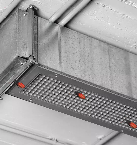 About Air Duct Cockroach Removal in Pooler, GA