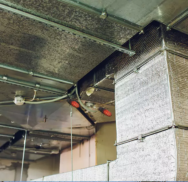 Why Homeowners & Businesses Trust Us Pooler, GA?